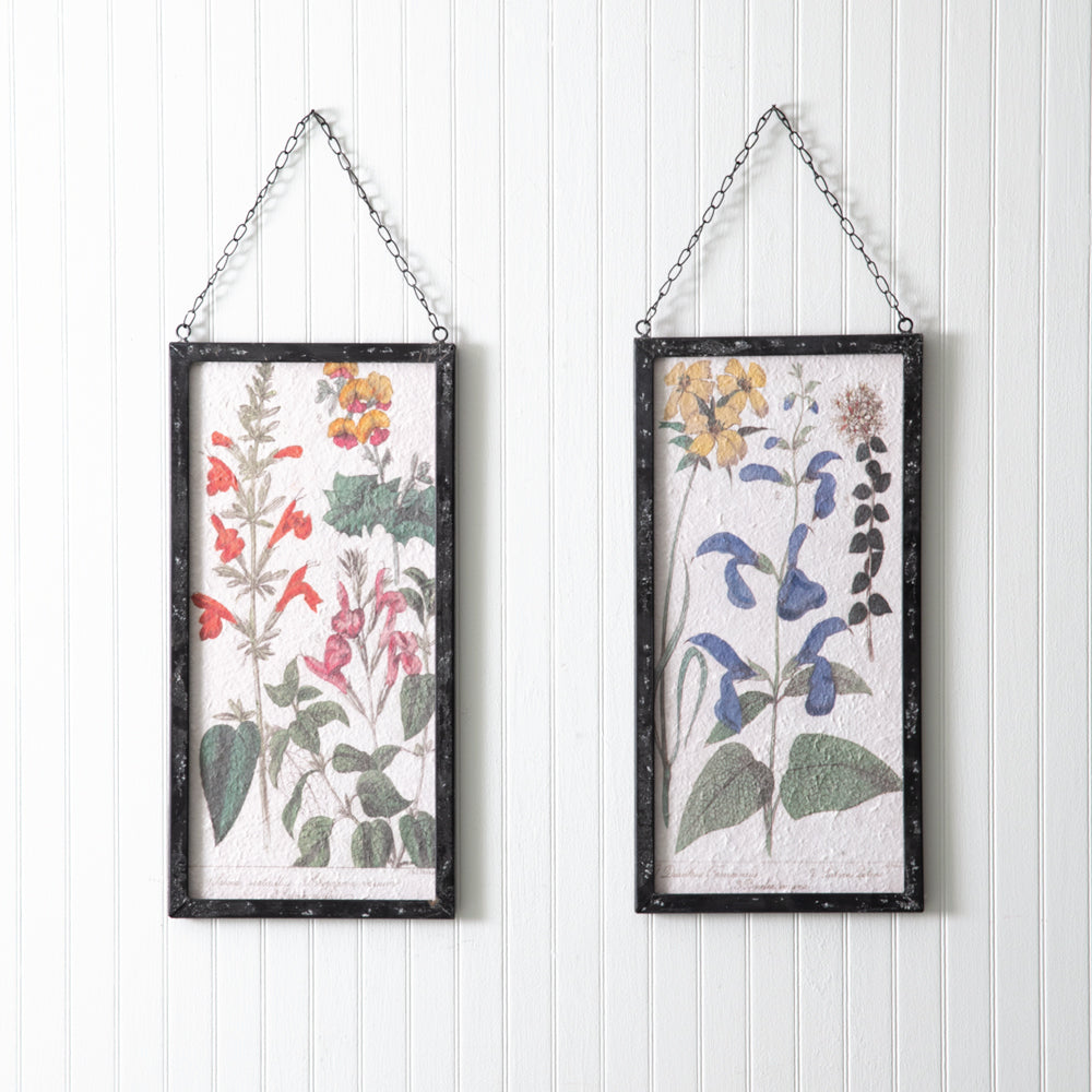Set of Two Perennial Botanical Framed Prints - Adley & Company Inc. 