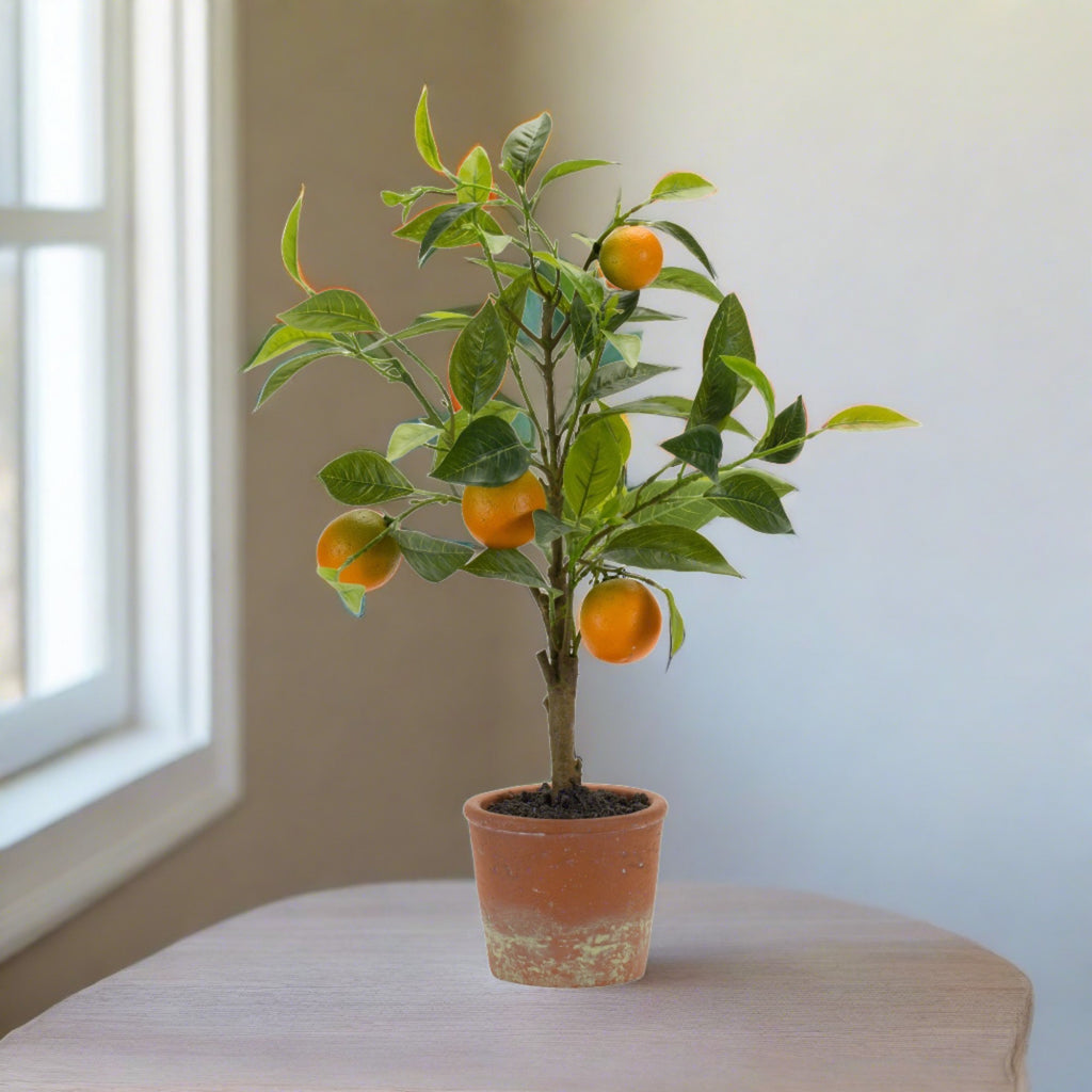 Orange Fruit Silk Tree in Terra Cotta Style Pot