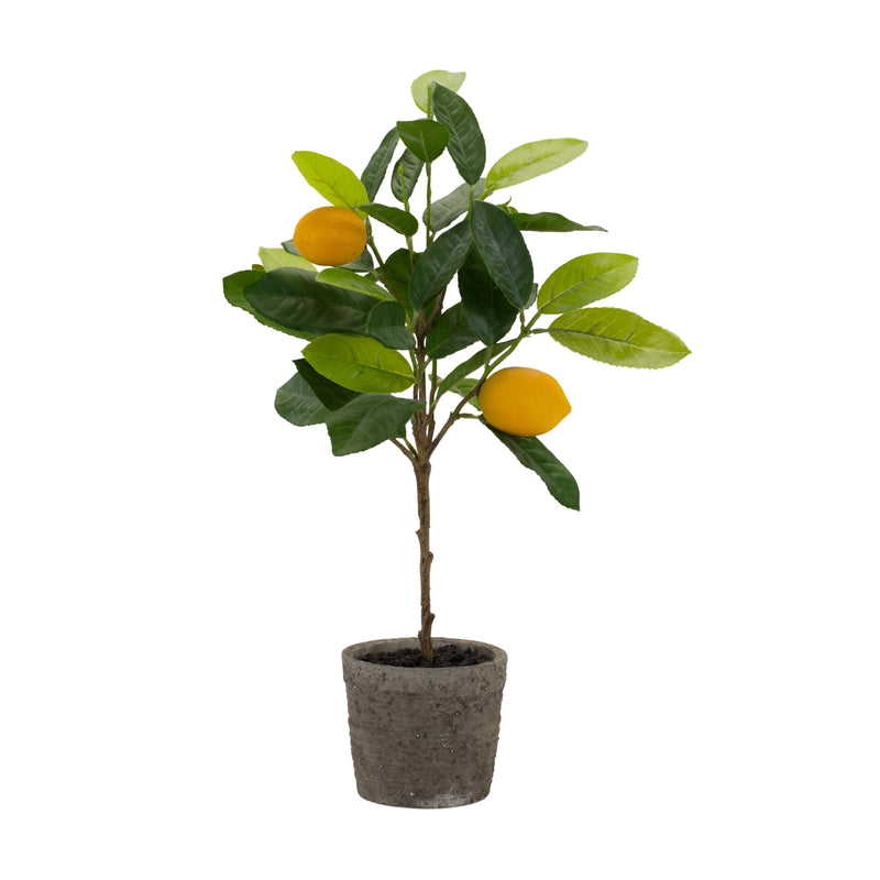Faux Foliage, Potted Lemon Tree, Set of 2