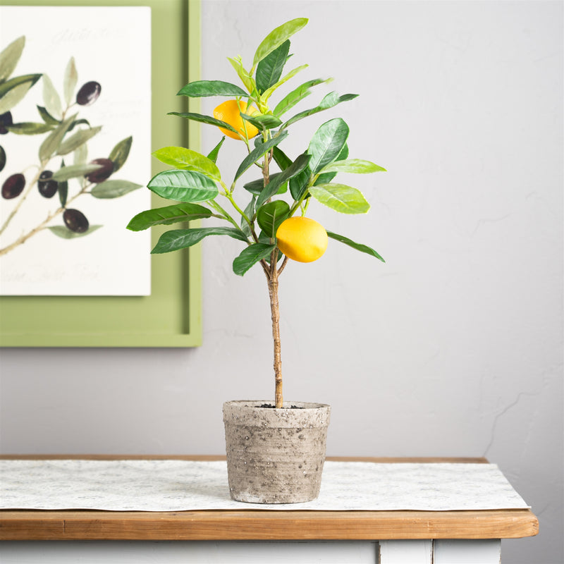 Faux Foliage, Potted Lemon Tree, Set of 2