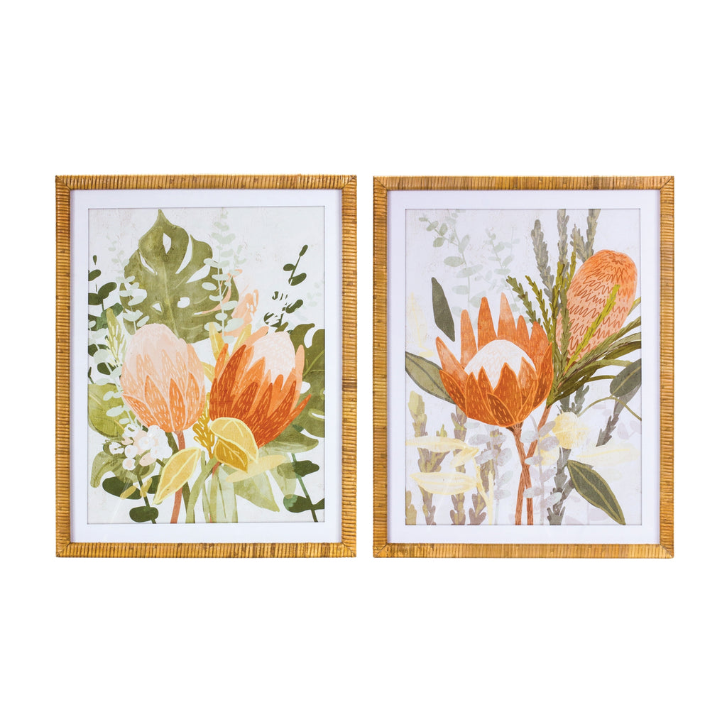 Large Framed Protea Prints, Set of 2