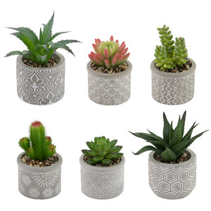 Set of 6 Faux Succulents in Geometric Pots