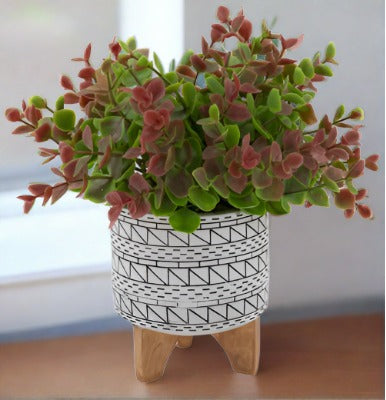 Red and Green Sedum Succulent in Black and White Geometric Pot, Set of 2 - Adley & Company Inc. 