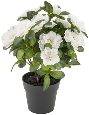 Cream Belgium Azalea Faux Potted Plant