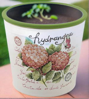 Hydrangea Planter Pots, Set of 6