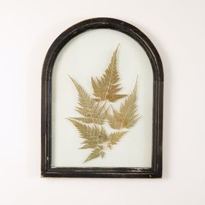 Framed Arched Fern Leaf Wall Decor