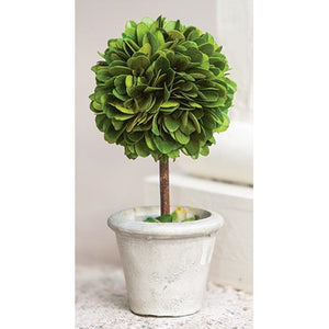 Mini Boxwood Topiary, Set of 4