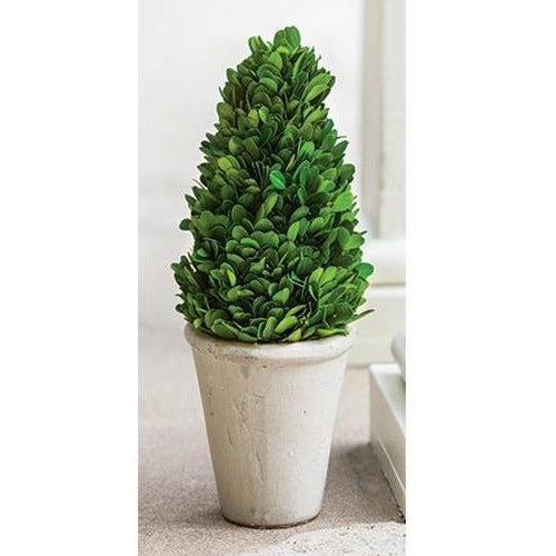 Preserved Boxwood Cone Topiary,artificial plant,Adley & Company Inc.