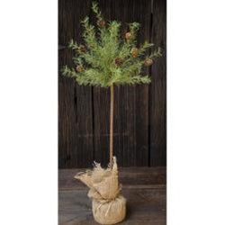 Cypress Topiary Tree with Burlap Base