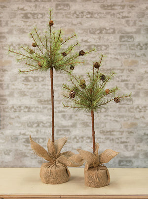 Cypress Topiary Tree with Burlap Base