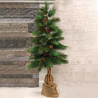Royal Oregon Pine, 36" tall - Adley & Company Inc. 