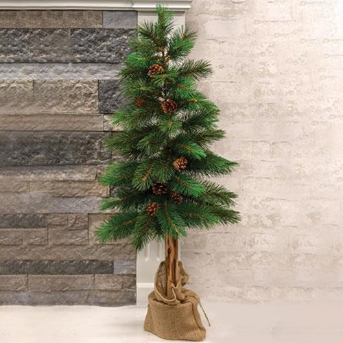 Royal Oregon Pine, 36" tall - Adley & Company Inc. 