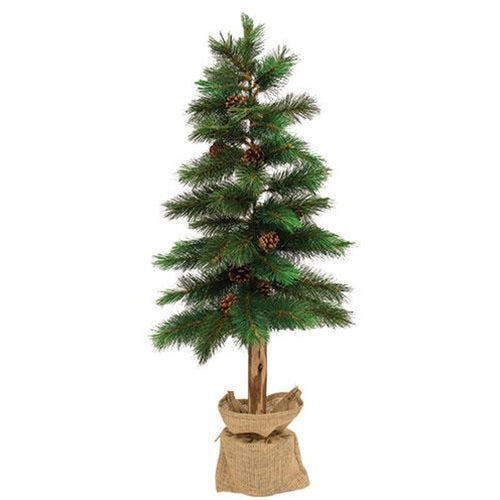 Royal Oregon Pine, 36" tall - Adley & Company Inc. 