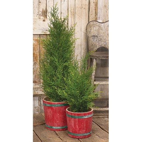 Potted Faux McKinley Cedar Tree