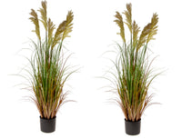 Artificial Realistic Grain Grass