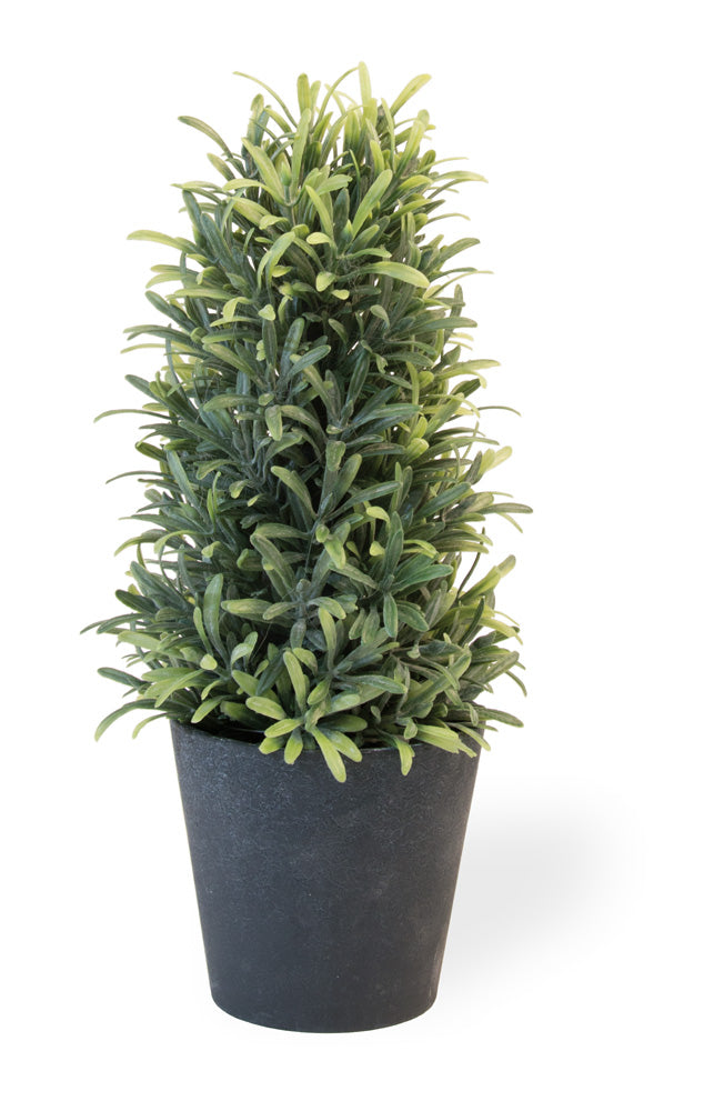 Faux Rosemary Bush in Pot, Set of 2,topiary,Adley & Company Inc.