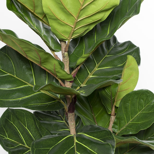 Potted Fiddle Leaf Fig Plant, Faux Flora - Adley & Company Inc. 